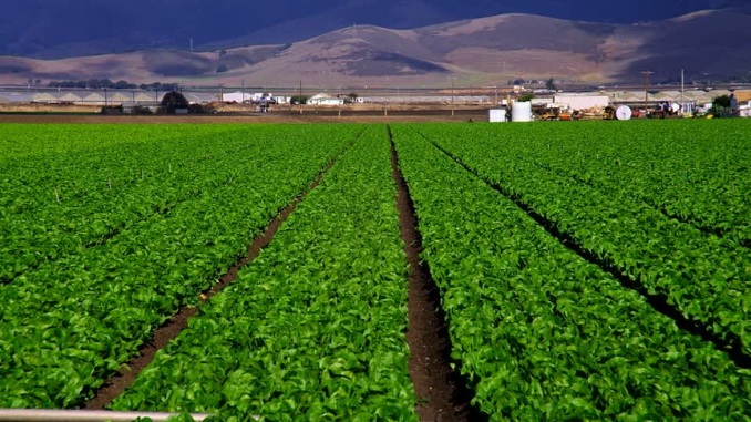 sistem pertanian modern yang ada saat ini sangat membantu sekali dengan berbagai jenisnya seperti sistem terpadu, terotomatisasi hingga urban farming di perkotaan