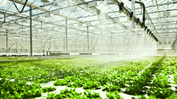 Sistem Pertanian Modern dengan Dampak Positif bagi Manusia