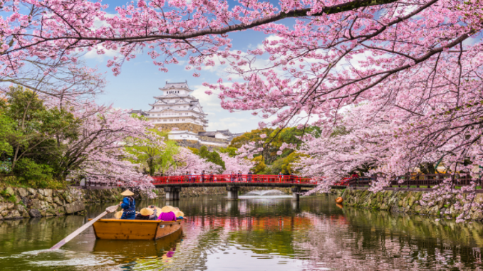 Backpacker ke Jepang menjadi solusi yang tepat untuk wisatawan. Jepang merupakan destinasi impian bagi banyak backpacker.